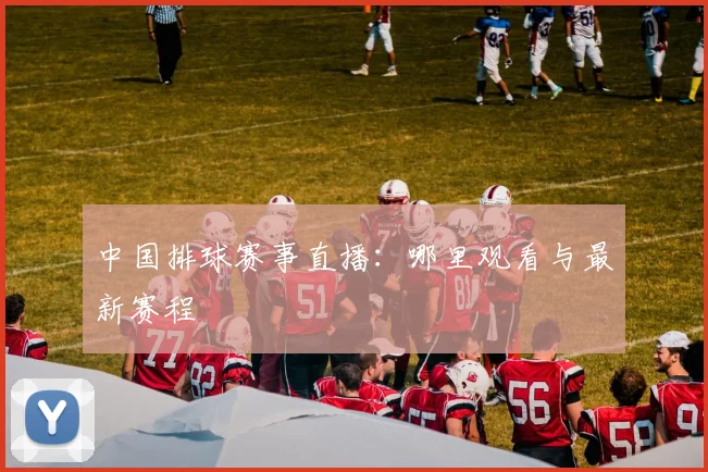 中国排球赛事直播：哪里观看与最新赛程