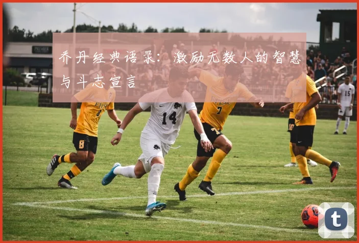 乔丹经典语录:激励无数人的智慧与斗志宣言